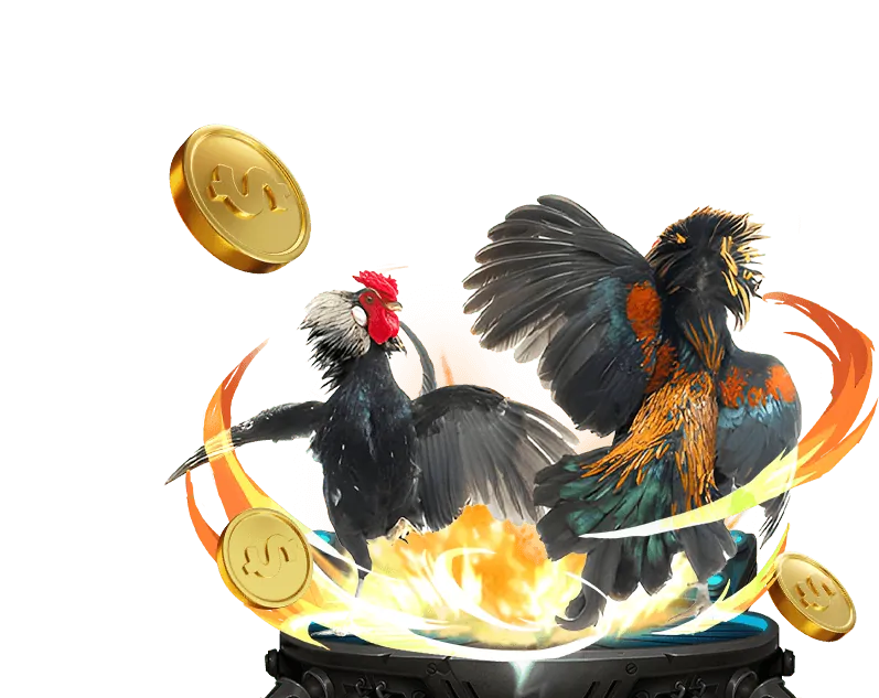 Sân đấu đá gà trực tuyến sôi động tại tài xỉu 888